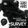 Survey - Original Mix cover art