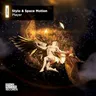 Player cover art