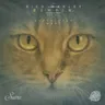 Bumpin - Original Mix cover art