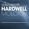 Molotov - Franky Rizardo Remix cover art
