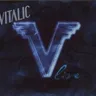 Filth 'n' Dirt Go Ahead (Vitalic Garage mix) by Vitalic cover art