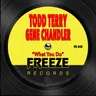 What You Do - Edit by Todd Terry cover art