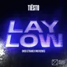 Lay Low (Nick Strand x Mio Remix) cover art
