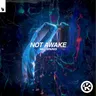 Not Awake cover art