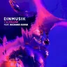 I'll Follow (edit) by Einmusik cover art
