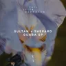 Banya by Sultan + Shepard cover art
