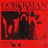 Doberman cover art