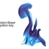 Split Second by Adam Beyer cover art