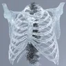 To Trajadão cover art