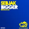Bigger (Original Mix) by Sebjak cover art