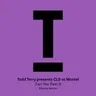Can You Feel It - Montel Radio Edit by Todd Terry cover art