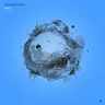 Trust cover art