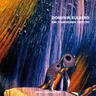 Mikroorgasmen Im Morgentau by Dominik Eulberg cover art