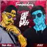 Tremendous - Radio Mix by Sevek cover art