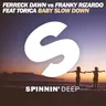 Baby Slow Down by Franky Rizardo cover art