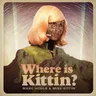 Where is Kittin? - Dubfire Remix by Marc Houle cover art