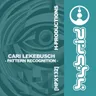 Pattern Recognition cover art