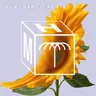 Sun - Darco Remix cover art