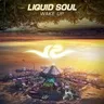 Wake Up by Liquid Soul cover art