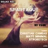 My Vision - Christian Cambas Remix cover art