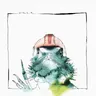 Flying Lizard by Acid Pauli cover art