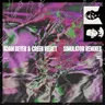Simulator Chris Avantgarde Remix by Green Velvet cover art