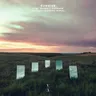 Survive by Lane 8 cover art