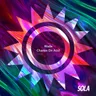 Charles on Acid cover art