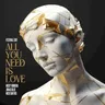All You Need Is Love (festival edit) cover art