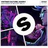 Deep Inside of Me by Vintage Culture cover art