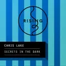 Secrets in the Dark cover art