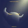 Hope for a Better Future by Rose Ringed cover art