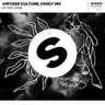 In the Dark (extended mix) by Vintage Culture cover art