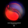 Dark Side of the Harmony (FYH 200 Anthem) by Andrew Rayel cover art