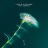 Pipi Dormir by Lane 8 cover art