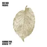 Presents Harmonie Park album cover