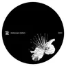 Wars by Kangding Ray cover art