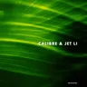 Push Through It by Calibre cover art