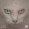 All the Myriad Ways - Original Mix cover art