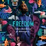 Freedom - Radio Edit by Zakes Bantwini cover art