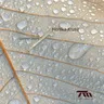 Summer Drops (Mendo Remix) cover art