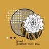 Steinblume - Dandara Remix by Dandara cover art