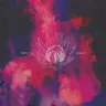 Congo Congo - Dub Mix by Shimza cover art