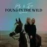 Wild Skies - MOLØ Remix by Eli & Fur cover art