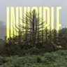 The Invisible Front by Olafur Arnalds cover art