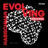 Evolving - Re.You Remix cover art