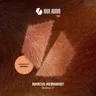 Monkey cover art