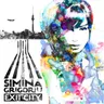 Wildfire by Simina Grigoriu cover art