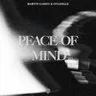 Peace of Mind (extended mix) by Citadelle cover art