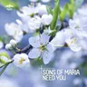 Need You (Original Mix) by Sons Of Maria cover art